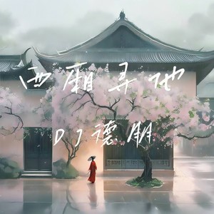 西厢寻他 (DJ德朋版0.8)封面