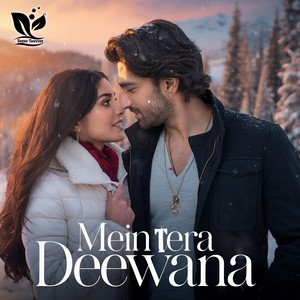 Mein Tera Deewana