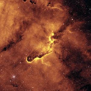 Another Zombie Sheep