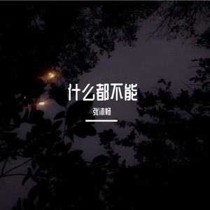 什么都不能