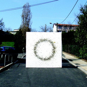 Sandra Kolstad - Branches