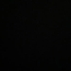 Back at it (feat. Toneeracks) (Explicit)