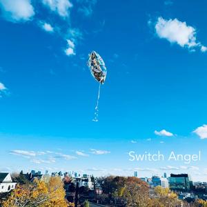 Switch Angel