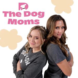 The Dog Moms theme song