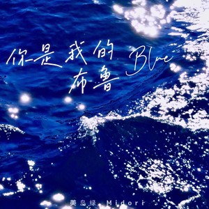 你是我的布鲁