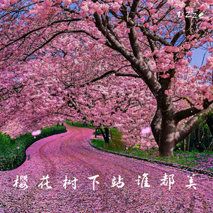 樱花树下站谁都美