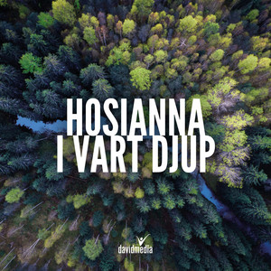 Hosianna i vart djup