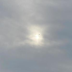 dr0wzy - fly away (feat. lilwaterbed) (slowed)