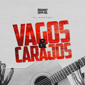 Vagos y Carajos