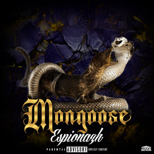 Mongoose (Explicit)