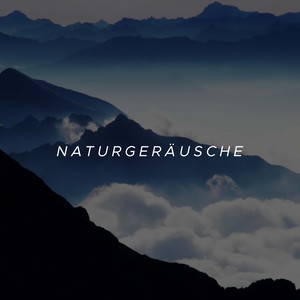 Naturgeräusche: Entspannende Musik