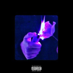 Розовая пластинка (Explicit)