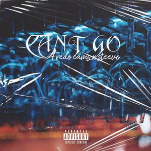 Cant Go (feat. Steevo) [Explicit]