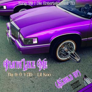 Playa Like Me (feat. Lil Koo) (Sl’Hold Up) (Explicit)