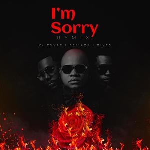 I'm Sorry (feat. BigFa & Fritzoe) (Remix)