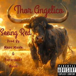 Seeing Red (Explicit)