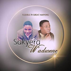 Sakyera W'adwene