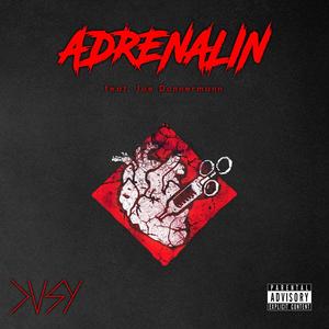 Adrenalin (feat. Joe Donnermann) [Explicit]