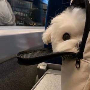 风风雨雨全护你