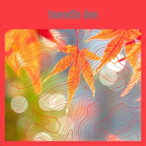 Rockin'at the School