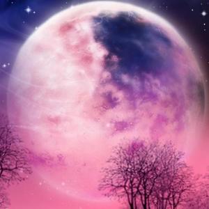 白月光与朱砂痣