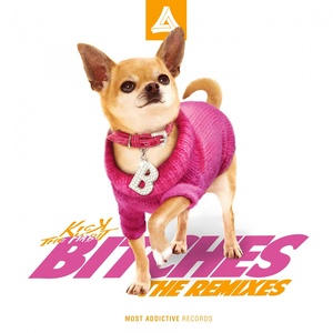 B**ches (The Remixes)