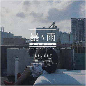 暴雨封面