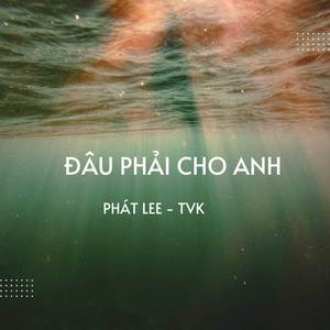 Đâu Phải Cho Anh (Lofi)