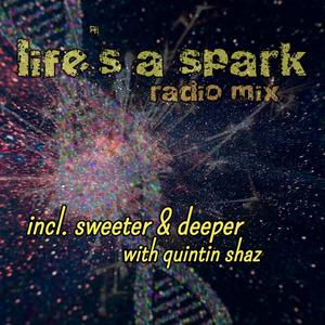 Lifes a Spark (Radio Mix)