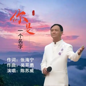 陈苏威 - 你是一个名字