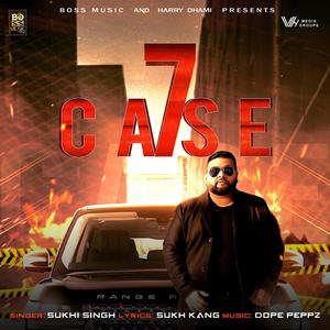 7 Case