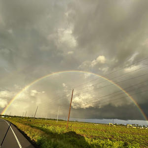 Let Me Go (feat. Michael Harrison)