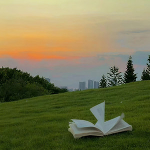 你的痛苦我都心疼