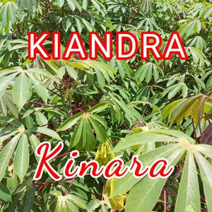 Kinara