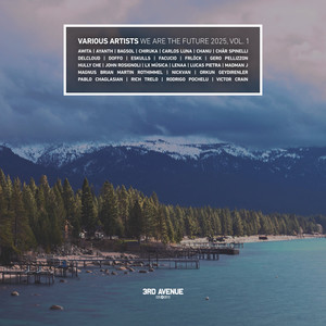 Fungi Fractal Collapse