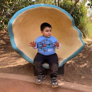 Francisco M Federico - Sometimes