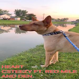 Heart (feat. RED M!LE & Denny James) (Explicit)