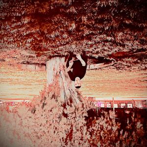 WHAT HAVE I DONE (Explicit)