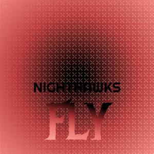 Nighthawks Fly