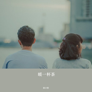 友情岁月 (DJ版)