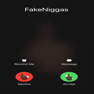 FakeN*ggas