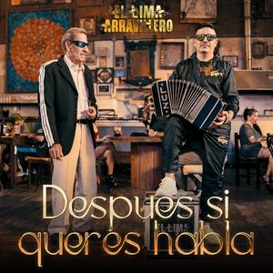 Después si querés hablá