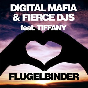 Flugelbinder (Original Mix)
