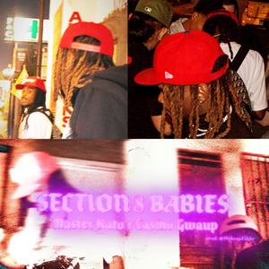 Section 8 Babies(feat. Master Kato) (Explicit)