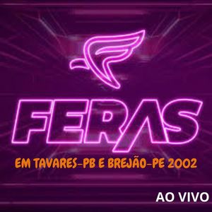 AO VIVO EM TAVARES-PB E BREJÃO-PE 2002