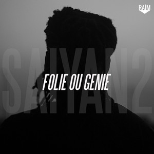 Folie ou genie (Saiyan 2)