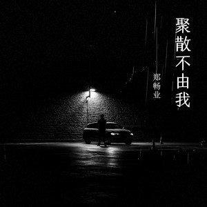聚散不由我
