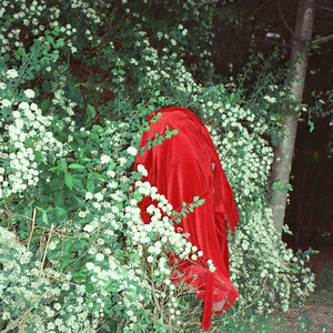 Dziś nie będę myślał