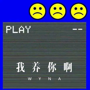 夏日寒风 (Remix)
