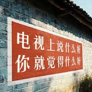 电视上说什么好，你就觉得什么好